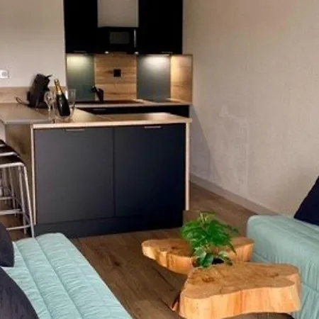 Renove Et Climatise Avec Terrasse, Parking Prive Et Options Confort A - Fr-1-387-209 *