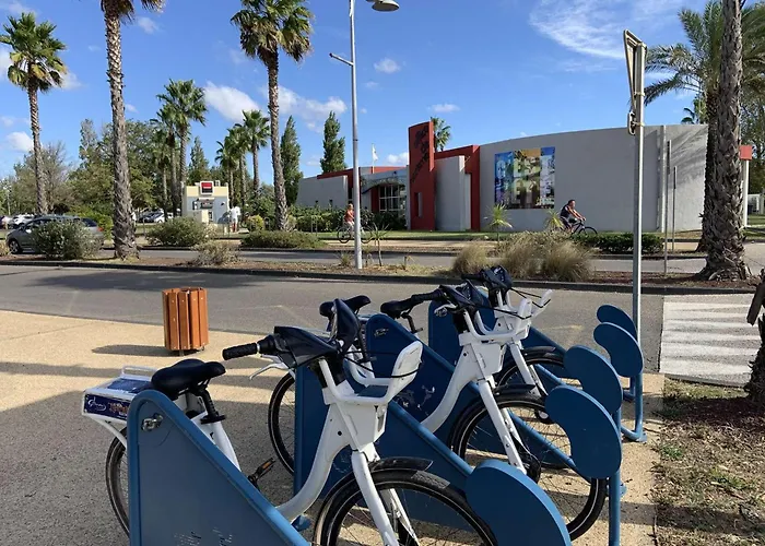 Renove Et Climatise Avec Terrasse, Parking Prive Et Options Confort A - Fr-1-387-209 Marseillan (Herault)
